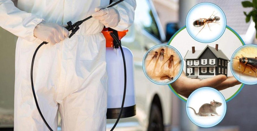 Karamanlı Böcek İlaçlama