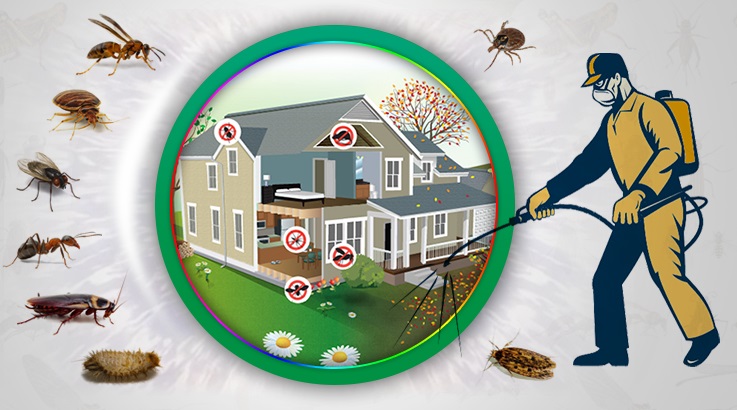 Karamanlı Böcek İlaçlama