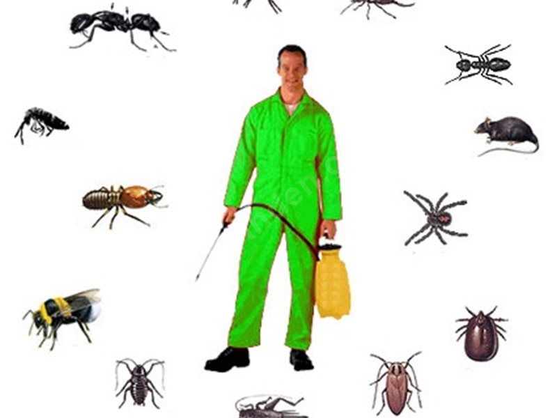 Karamanlı Böcek İlaçlama